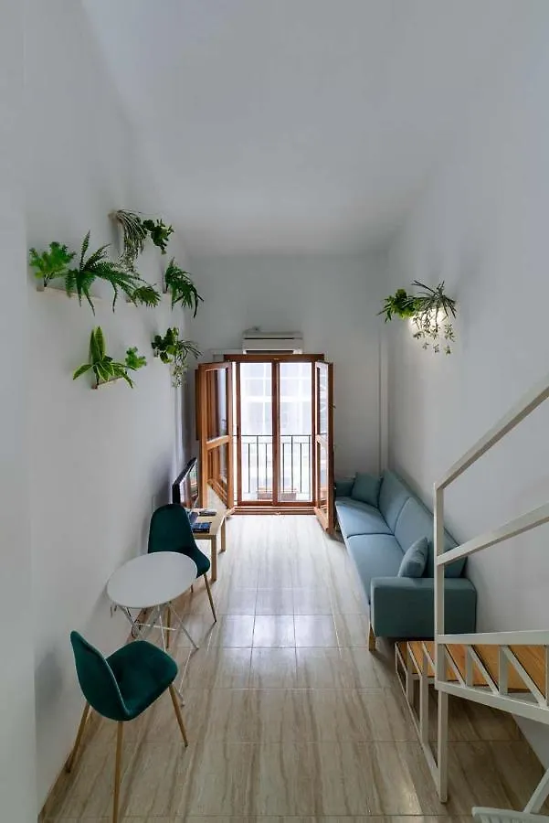 Calle Elvira Apartment Granada 0*,  Spain