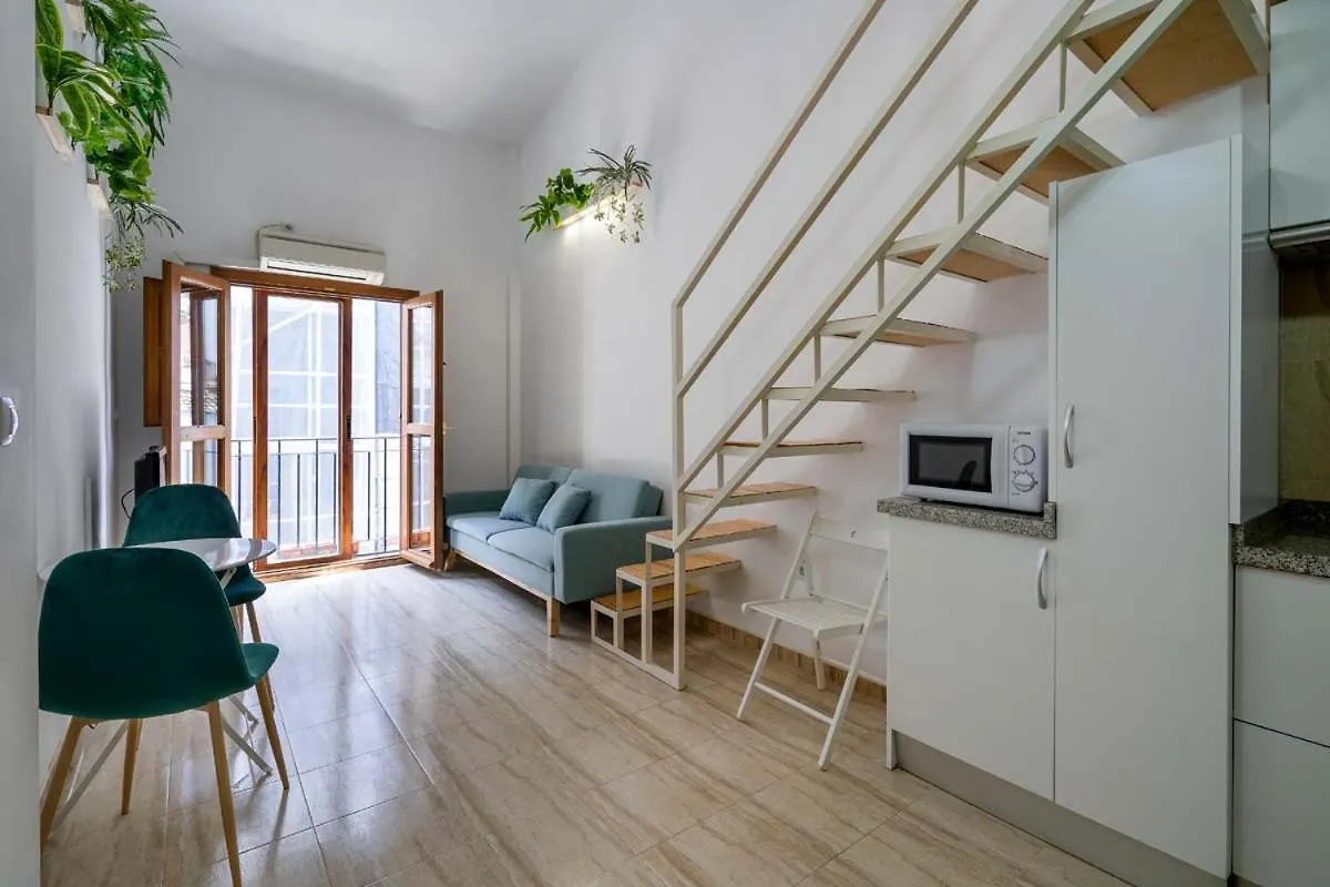 Calle Elvira Apartment Granada