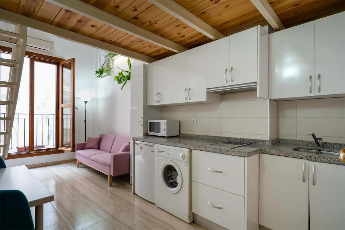 Calle Elvira Apartment Granada Spain